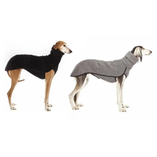 Pet dog winter - high, collar
