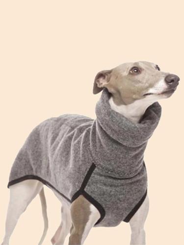 Pet dog winter high - pet, collar