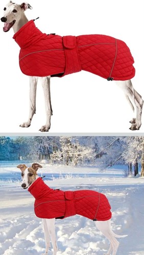 Greyhound lurcher winter coat