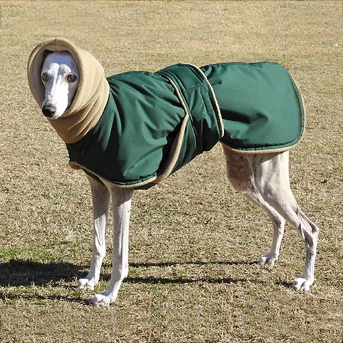 Waterproof dog coat jacket - waterproof,